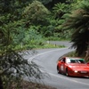 Dunlop Dominates Targa Hellyer Gorge